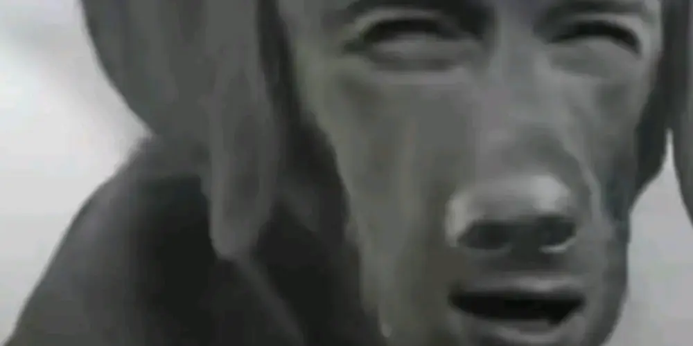 Imagem do grupo de WhatsApp ⋘⋱𝕷𝖔𝖛𝖊𝖘 𝖉𝖆 𝖒𝖎𝖑𝖑𝖞⋰⋙