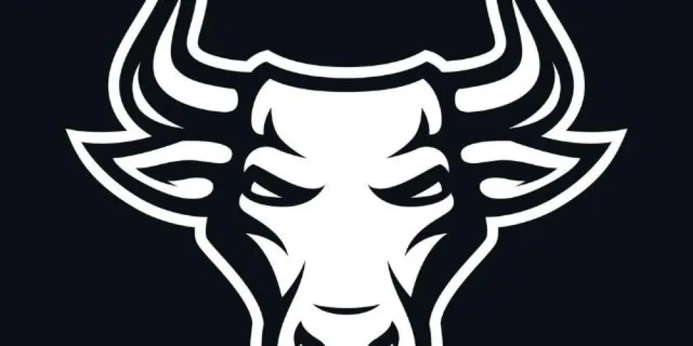 Imagem do grupo de WhatsApp 𝗧𝗢𝗨𝗥𝗢𝗦 𝗡𝗘𝗚𝗥𝗢𝗦 ⚫️