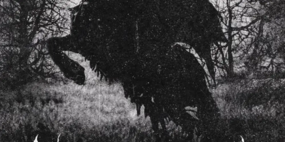 Imagem do grupo de WhatsApp 👑 𝐂𝐡𝐚𝐭 𝐃𝐨 𝐃𝐚𝐫𝐤𝐙𝐢𝐧 👑