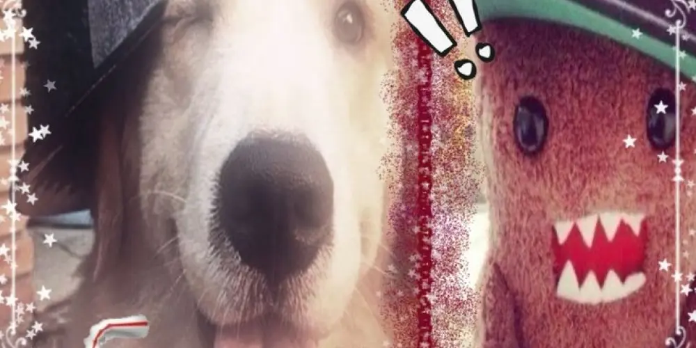 Imagem do grupo de WhatsApp 𝖮𝗌 𝗌𝖾𝗆 ᶠᵘᵗᵘʳᵒ ᵍʳᵘᵖᵒ