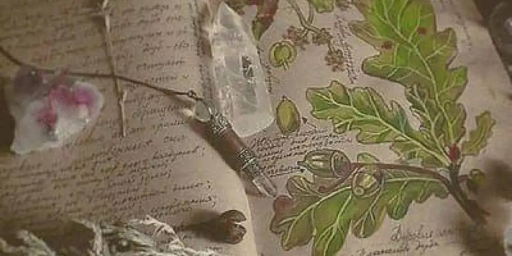 Imagem do grupo de WhatsApp ׁ  ۪  ⵐ  ܼ   ׁ  ⩍ ۪ 𝐁𝐈𝐁𝐋𝐈𝐎𝐓𝐄𝐂𝐀/ׁ 𝐏𝐄𝐃𝐈𝐃𝐎𝐒 𝐃𝐒 𝐋𝐈𝐕𝐑𝐎𝐒 /🌸 ݂ ᯤ ݁  ݂  𖠾 ׁ