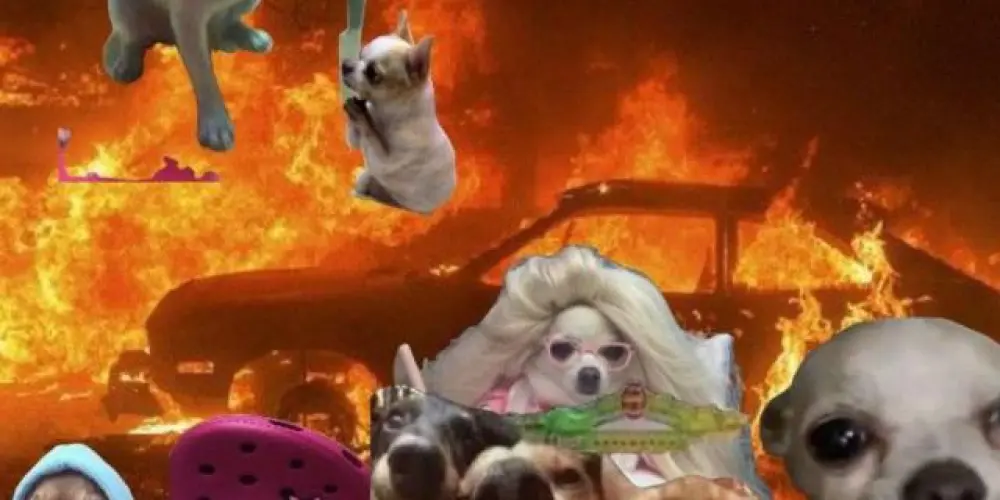 Imagem do grupo de WhatsApp _𝕆𝕧𝕠 𝕞𝕦𝕔𝕙𝕠😌