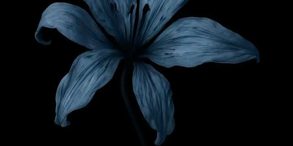 Imagem do grupo de WhatsApp 𝐀𝐦𝐢𝐳𝐚𝐝𝐞𝐬 𝟐𝟎𝟐𝟔ෆ