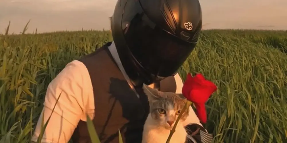 Imagem do grupo de WhatsApp 🙉 𝘏𝘖𝘚𝘗𝘐́𝘊𝘐𝘖 𝘊𝘖𝘔𝘜𝘕𝘐𝘚𝘛𝘈 𝘗𝘈𝘌