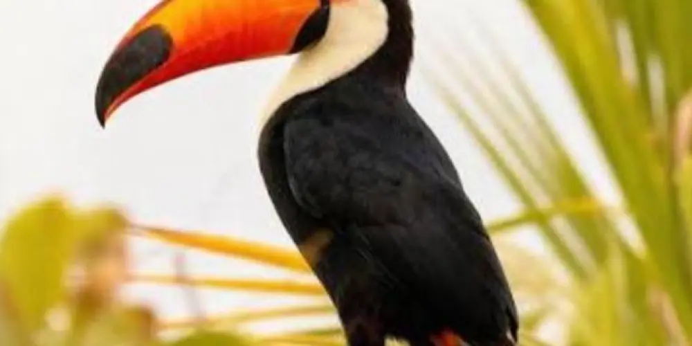 Imagem do grupo de WhatsApp 𝟐.𝟐 𝒂𝒎𝒊𝒛𝒂𝒅𝒆 ❤️