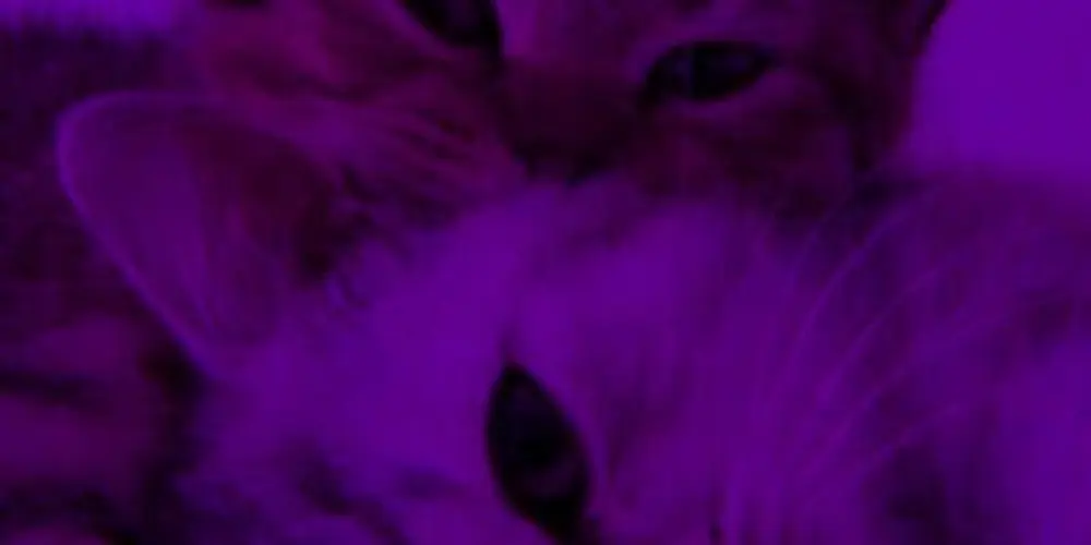 Imagem do grupo de WhatsApp 🆂︎🅺︎🆄︎🆁︎•🅺︎🅴︎🆃︎🆈︎