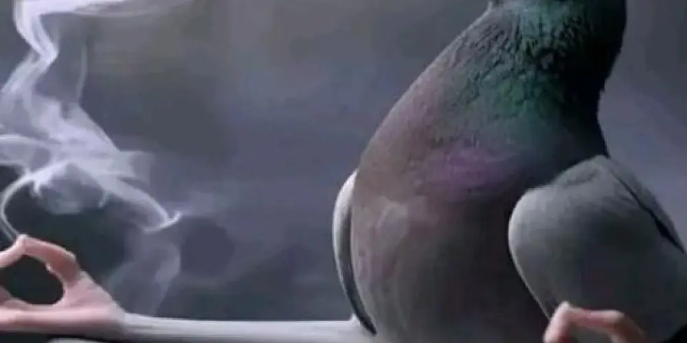 Imagem do grupo de WhatsApp 𝕣𝕖𝕤𝕖𝕟𝕙𝕒🔥