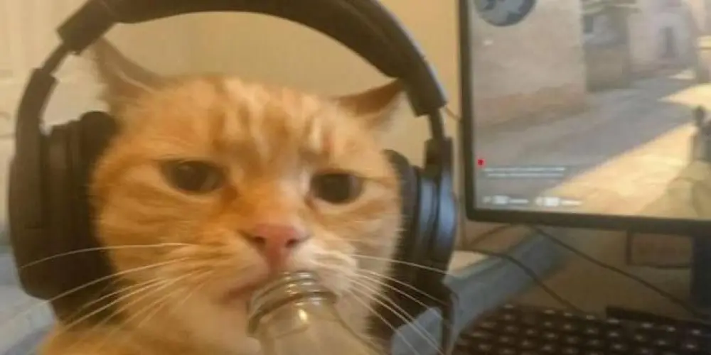 Imagem do grupo de WhatsApp 𝟱𝟬 𝗧𝗢𝗡𝗦 𝗗𝗘 𝗕𝗥𝗔𝗡𝗖𝗢 🥴