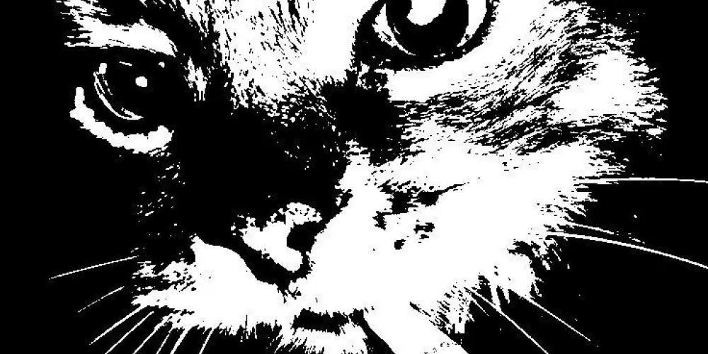 Imagem do grupo de WhatsApp 𝚅𝚒́𝚌𝚒𝚘 😪