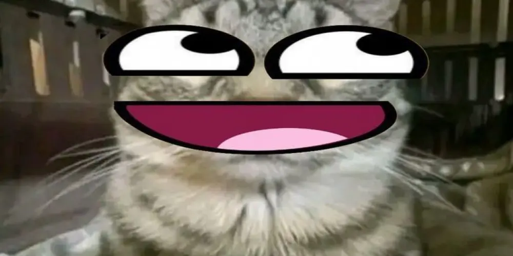 Imagem do grupo de WhatsApp 𝙵𝚊𝚕𝚊𝚗𝚝𝚎𝚜 😝