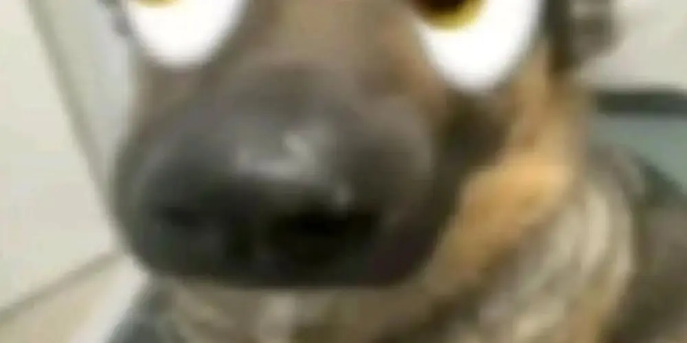 Imagem do grupo de WhatsApp 𝘾𝙡𝙪𝙗𝙚𝙭𝙭𝙭𝙭𝙭𝙭𝙭𝙭𝙭𝙭𝙭