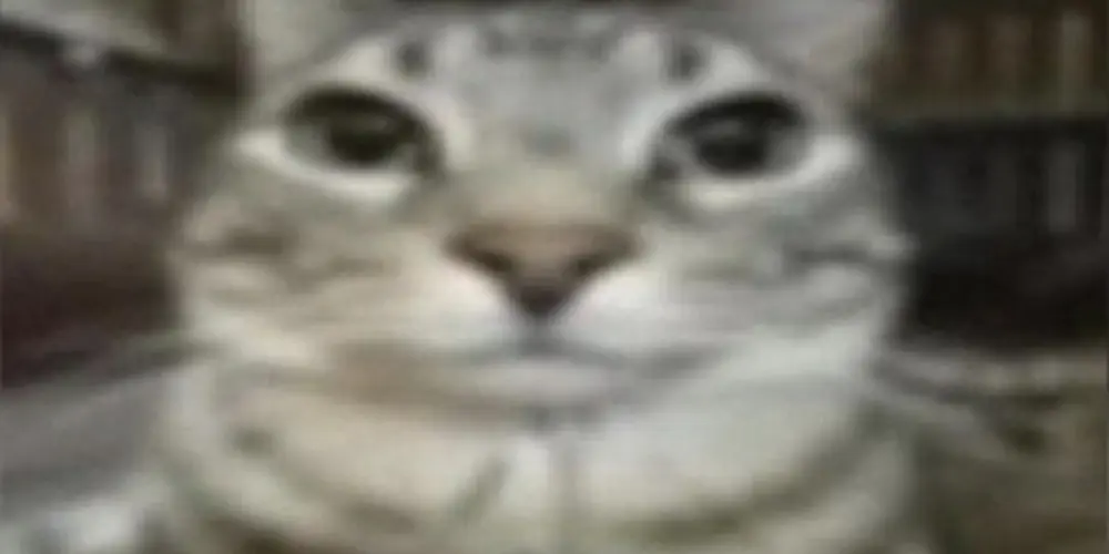 Imagem do grupo de WhatsApp 🌬️𝑺𝑶 𝑹𝑬𝑮𝑹𝑬𝑺𝑺𝑶🩸