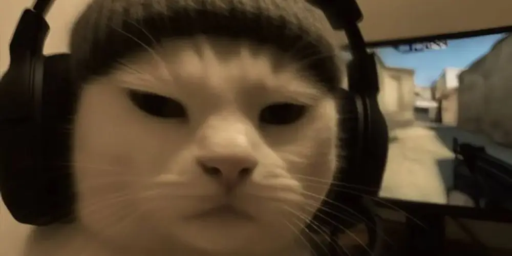 Imagem do grupo de WhatsApp _⏤͟͟͞͞🔥𝐆𝐑𝐎𝐕𝐄 𝐒𝐓𝐑𝐄𝐄𝐓 ✰