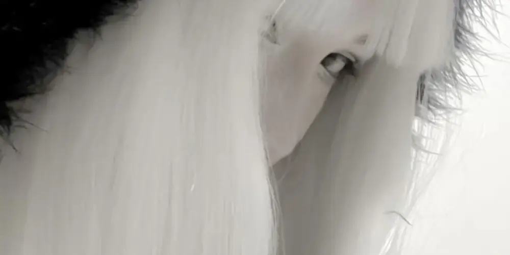 Imagem do grupo de WhatsApp 𝖘𝖔𝖓𝖓𝖊𝖓𝖘𝖙𝖗𝖆𝖍𝖑‘