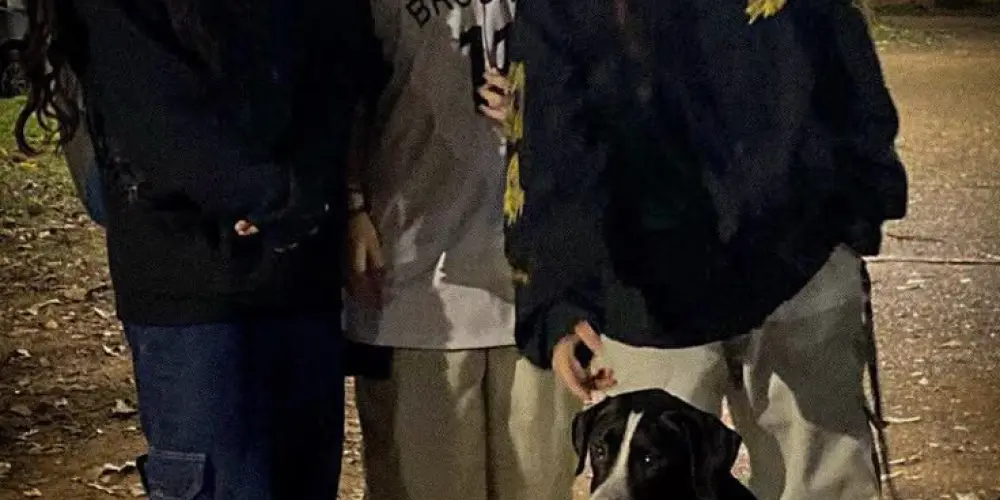 Imagem do grupo de WhatsApp 𝑪𝑯𝑨𝑻 💢𝑹𝑶𝑴