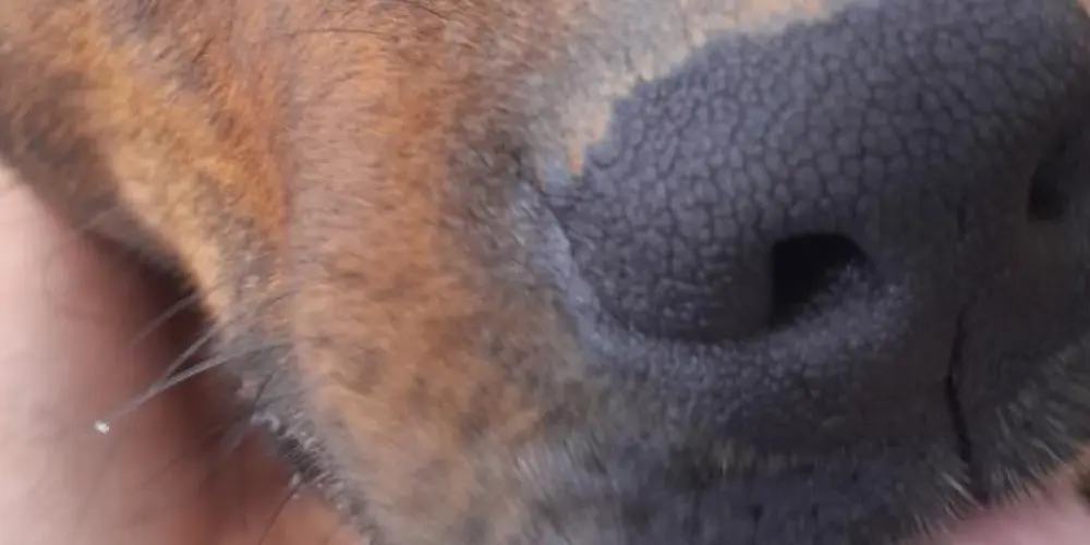 Imagem do grupo de WhatsApp ♚ 𝕿𝖗𝖊𝖙𝖆 ♚