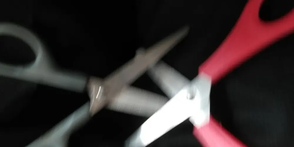 Imagem do grupo de WhatsApp ˙⋆𝑿𝒐𝒕𝒐𝒍𝒂𝒏𝒅𝒊𝒂✂️