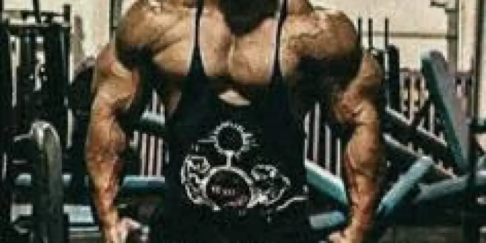 Imagem do grupo de WhatsApp 𝙅𝙋 𝙈𝙊𝙏𝙄𝙑𝘼𝙏𝙄𝙊𝙉 🌱💪