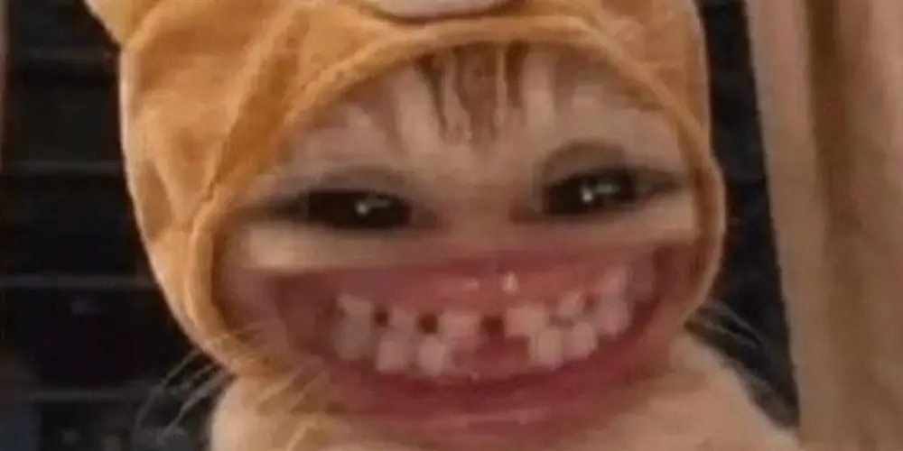 Imagem do grupo de WhatsApp 𝐇𝐨𝐬𝐩𝐢𝐜𝐢𝐨 🤪