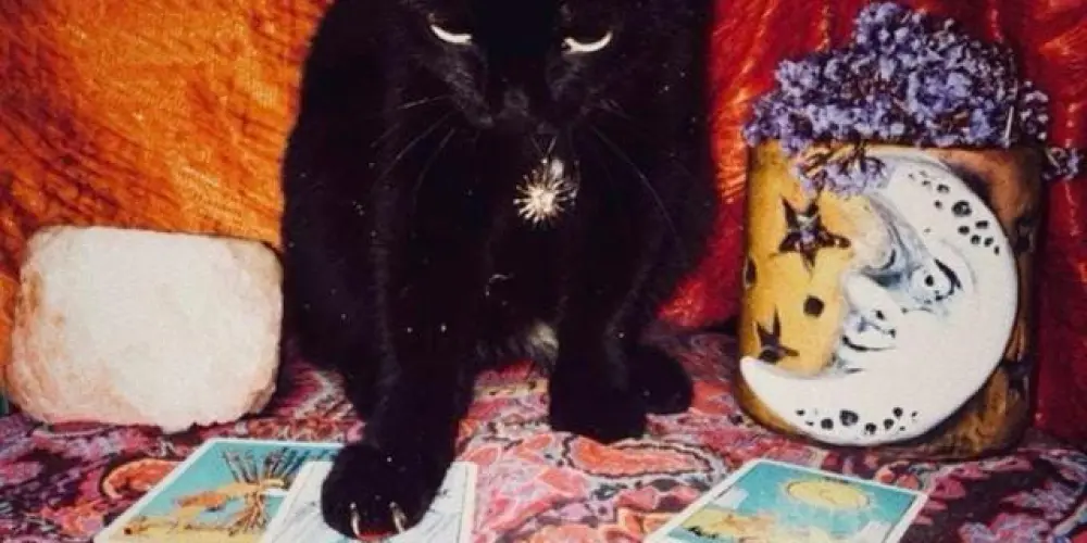 Imagem do grupo de WhatsApp 𝕮𝖆𝖒𝖎𝖓𝖍𝖔 𝖉𝖆𝖘 𝖘𝖔𝖒𝖇𝖗𝖆𝖘