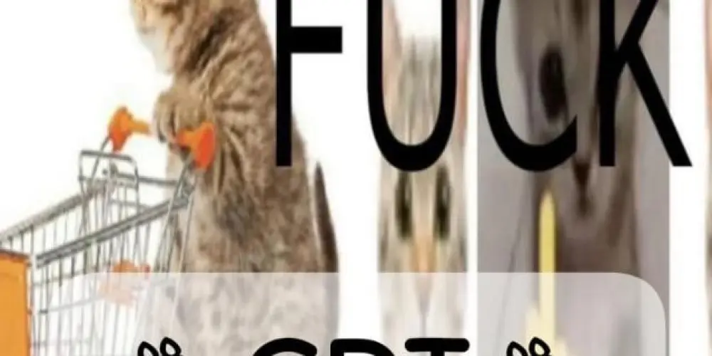 Imagem do grupo de WhatsApp 𖤐𐂅𝐆𝐃𝐓𐂅𖤐