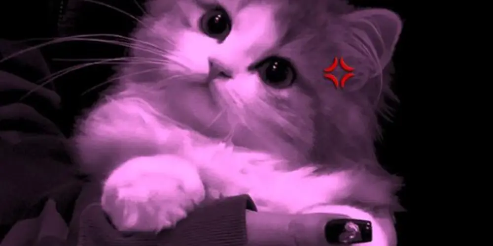 Imagem do grupo de WhatsApp 𝒪𝑠 𝑑𝑒𝑠𝑎𝑗𝑢𝑠𝑡𝑎𝑑𝑜𝑠 ☆