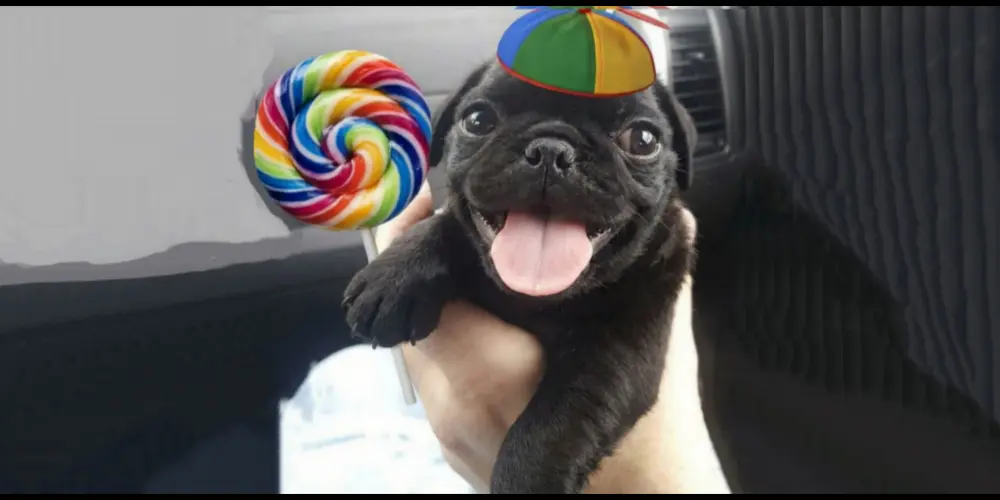 Imagem do grupo de WhatsApp ℕ𝔸𝔻𝔸 𝔸𝕃𝔼𝕄 𝔻𝔸 𝔸𝕄𝕀ℤ𝔸𝔻𝔼 🐞