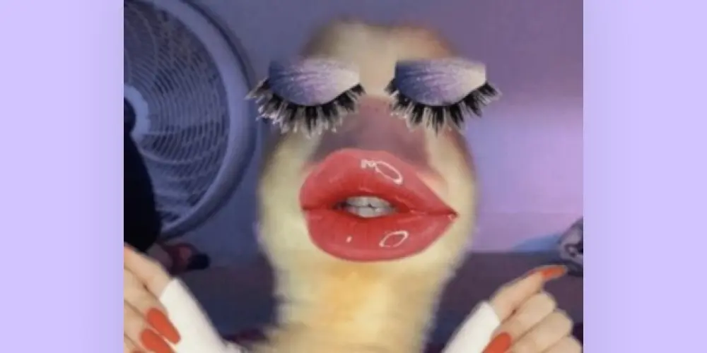 Imagem do grupo de WhatsApp 𝙾𝚜 𝚖𝚊𝚒𝚜 𝚖𝚊𝚒𝚜