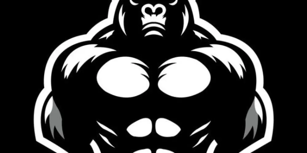 Imagem do grupo de WhatsApp 🦍 𝐃𝐎𝐍𝐊𝐄𝐘 𝐊𝐎𝐍𝐆 🦍