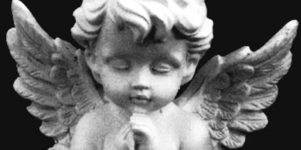 Imagem do grupo de WhatsApp 𝐩𝐫𝐨𝐭𝐨𝐜𝐨𝐥 𝟑𝟒𝟖