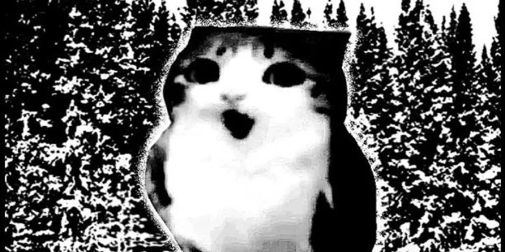 Imagem do grupo de WhatsApp 𝐁▒𝐋▒𝐀▒𝐂▒𝐊 𝐅▒𝐋▒𝐀▒𝐆 ©