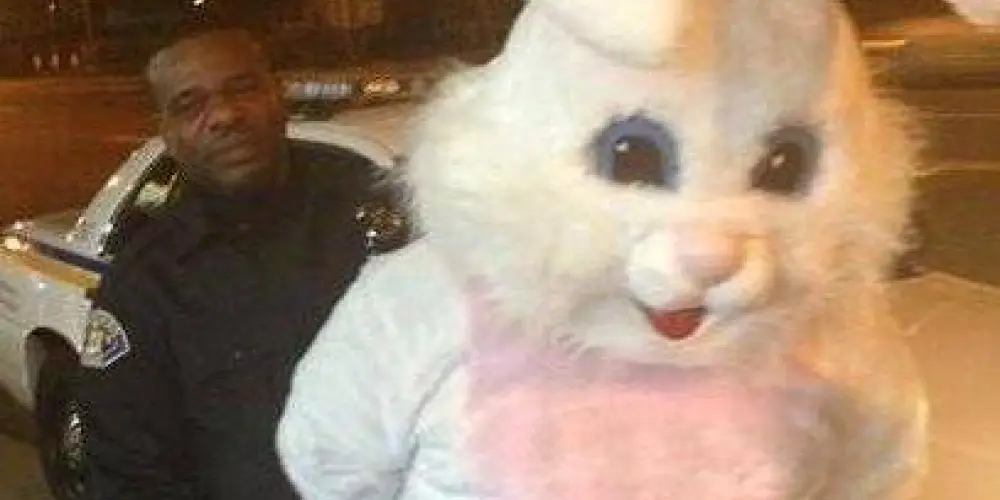 Imagem do grupo de WhatsApp 𝖋𝖎𝖌𝖚𝖗𝖎𝖓𝖍𝖆𝖘 ✨