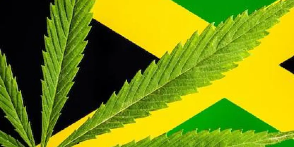 Imagem do grupo de WhatsApp 🇯🇲 𝑪𝒂𝒏𝒂𝒃𝒊𝒔 🇯🇲