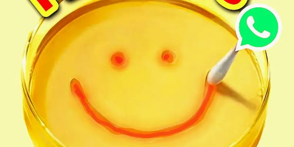 Imagem do grupo de WhatsApp ⋰𝗣𝗟𝗨𝗥𝗜𝗕𝗨𝗦⋱