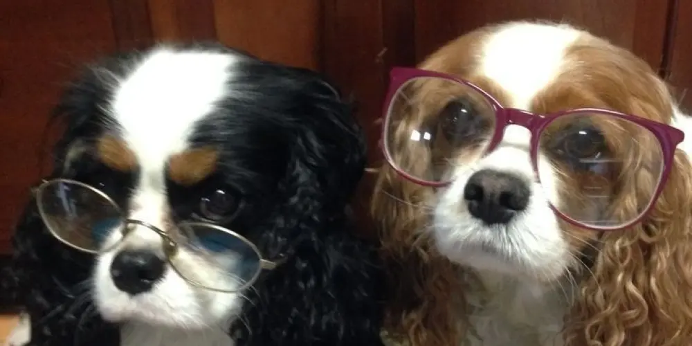 Imagem do grupo de WhatsApp 당신의 순간