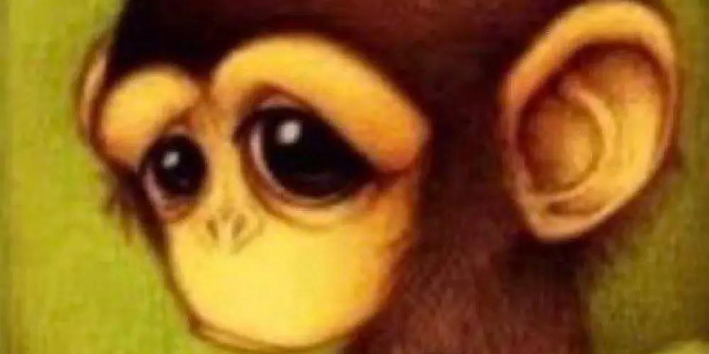 Imagem do grupo de WhatsApp ℕ𝕒𝕞𝕠𝕣𝕠 𝕖 𝔸𝕞𝕚𝕫𝕒𝕕𝕖𝕤 𝟚𝟘𝟚𝟞