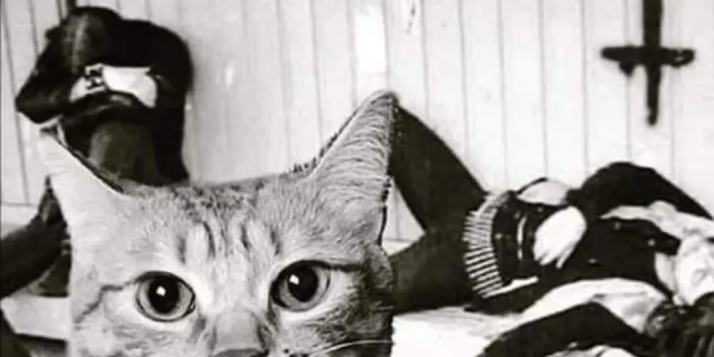 Imagem do grupo de WhatsApp 𝐁𝐋𝐀𝐂𝐊 𝐅𝐋𝐀𝐆 ®