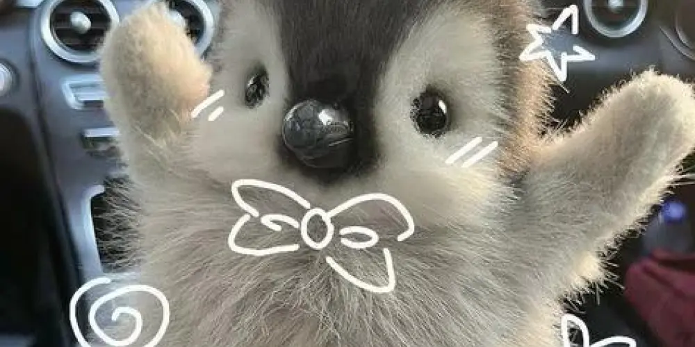 Imagem do grupo de WhatsApp 🩷⃟𝐀𝐮𝐭𝐨𝐂𝐮𝐢𝐝𝐚𝐝𝐨𝐬⃝⃟💐