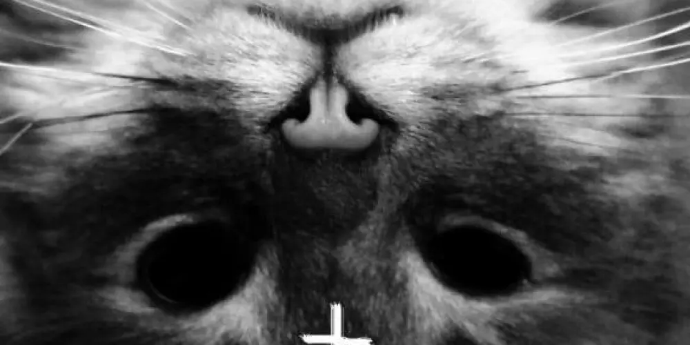 Imagem do grupo de WhatsApp _★★★𝚂𝚝𝚎𝚕𝚕𝚊𝚛 𝚌𝚑𝚊𝚝★★★_