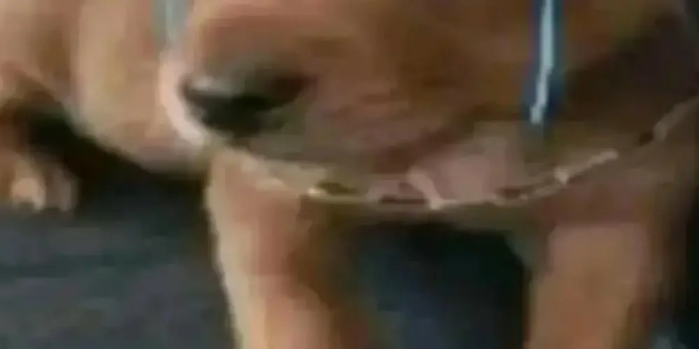 Imagem do grupo de WhatsApp 👁️ 𝐒𝐨𝐜𝐢𝐞𝐝𝐚𝐝𝐞 𝐝𝐨𝐬 𝐧𝐞𝐫𝐝𝐬 👽