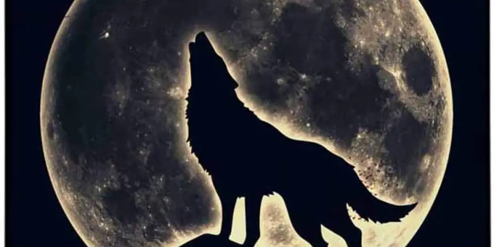 Imagem do grupo de WhatsApp 𝕬𝖒𝖔𝖗 𝖊́ 𝖆𝖒𝖎𝖟𝖆𝖉𝖊 😈🔥