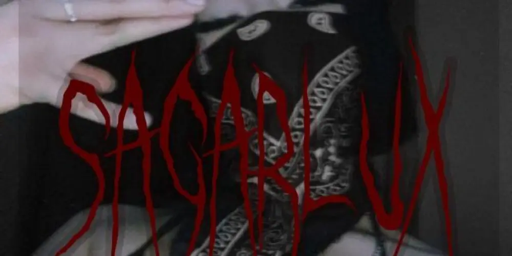 Imagem do grupo de WhatsApp 𝔖𝔞𝔤𝔞𝔯𝔩𝔲𝔵 𝔓𝔬𝔡𝔢 𝔱𝔲𝔡𝔬