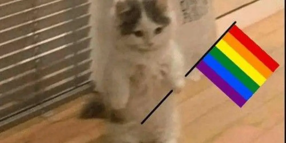 Imagem do grupo de WhatsApp •°✯ℭ𝔩𝔬𝔰𝔢 𝔉𝔯𝔦𝔢𝔫𝔡𝔰✯°•