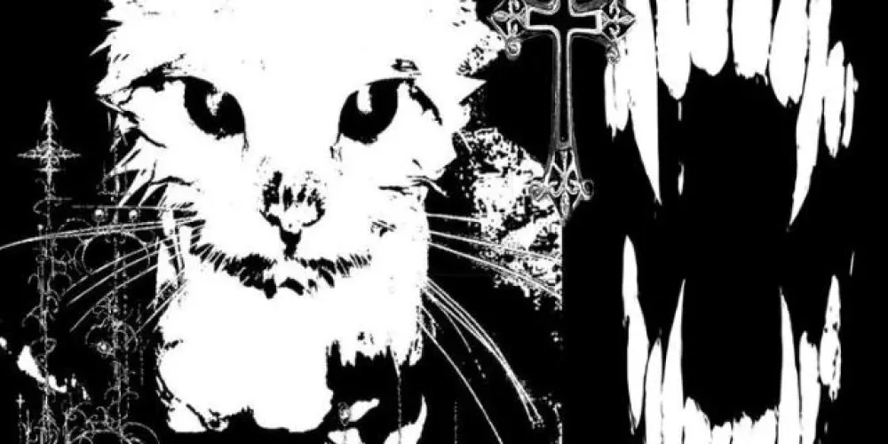 Imagem do grupo de WhatsApp 𝕹𝖎𝖌𝖍𝖙𝖋𝖆𝖑𝖑~