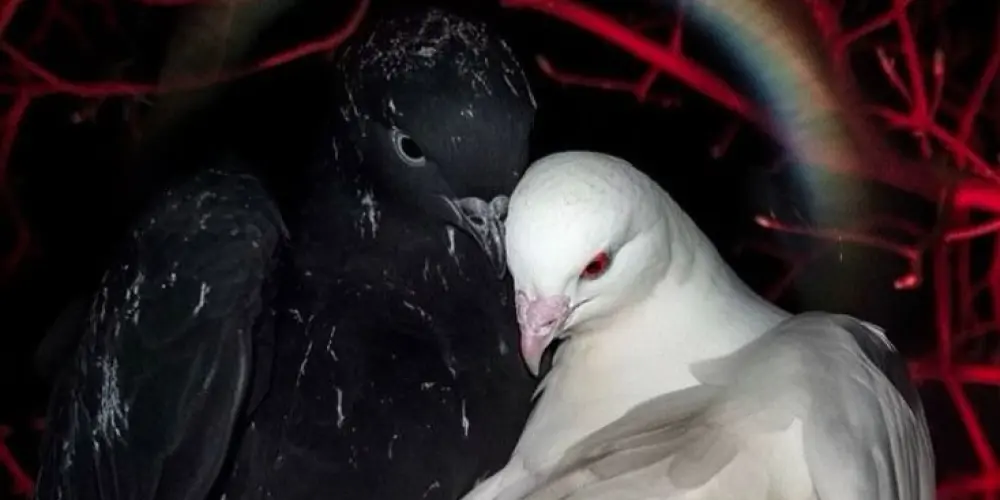 Imagem do grupo de WhatsApp 𝘙𝘰𝘮𝘢𝘯𝘤𝘦 𝘍𝘢𝘤𝘶𝘭𝘵𝘢𝘵𝘪𝘷𝘰 🦄