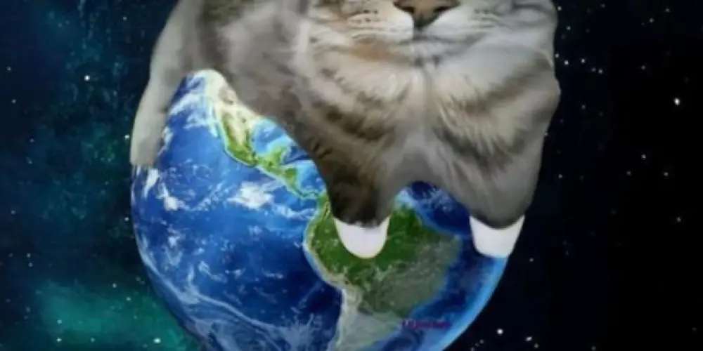 Imagem do grupo de WhatsApp 𝑴𝑼𝑵𝑫𝑶 𝑾𝑬𝑩  🌍❕