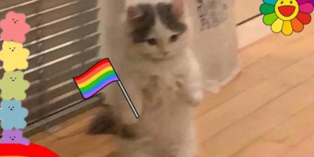 Imagem do grupo de WhatsApp •°✯ℭ𝔩𝔬𝔰𝔢 𝔉𝔯𝔦𝔢𝔫𝔡𝔰✯°•