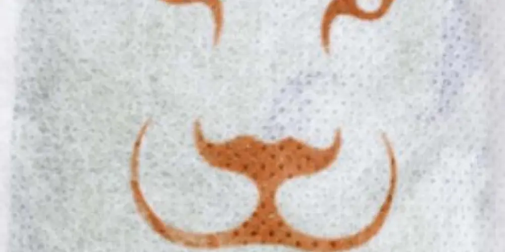 Imagem do grupo de WhatsApp 𝖈𝖎𝖓𝖖𝖚𝖊𝖓𝖙𝖆 𝖙𝖔𝖓𝖘 𝖉𝖊 𝖆𝖒𝖎𝖟𝖆𝖉𝖊 🌶️