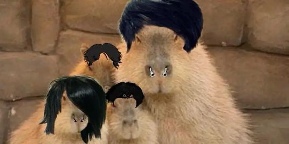 Imagem do grupo de WhatsApp ⋘⋱𝕷𝖔𝖛𝖊𝖘 𝖉𝖆 𝖒𝖎𝖑𝖑𝖞⋰⋙