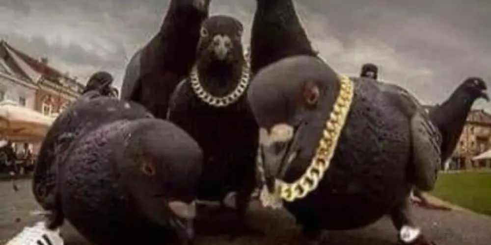 Imagem do grupo de WhatsApp 𝑬𝒏𝒕𝒓𝒆 𝒓𝒊𝒔𝒐𝒔 𝒆 𝒕𝒓𝒆𝒕𝒂𝒔